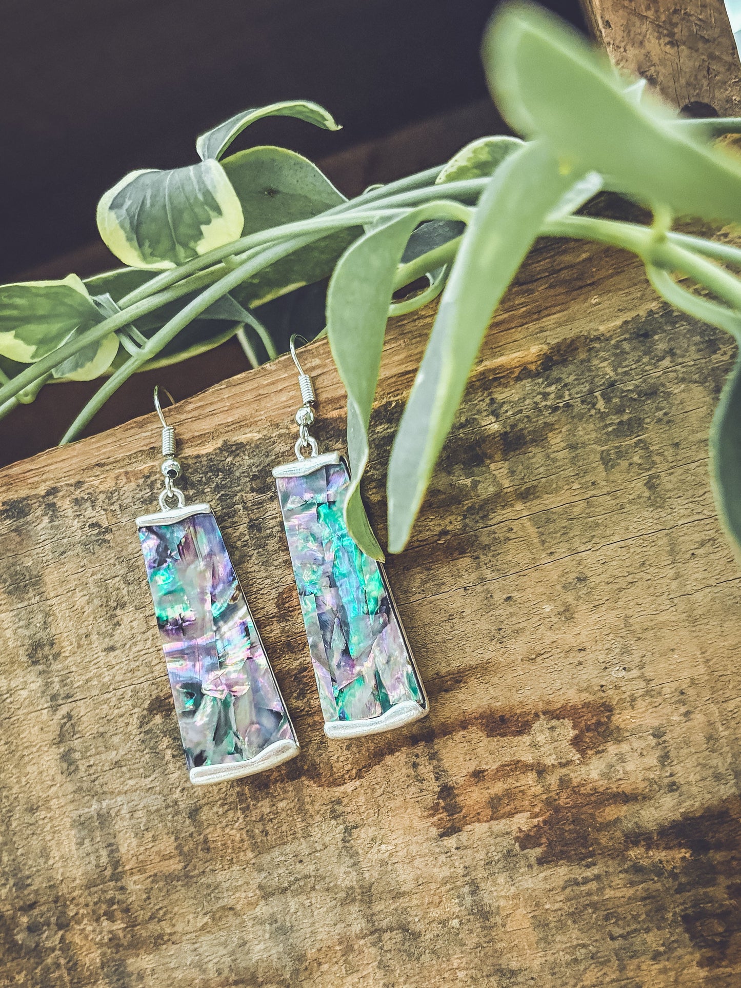 Beautiful Silver and Shell Earrings