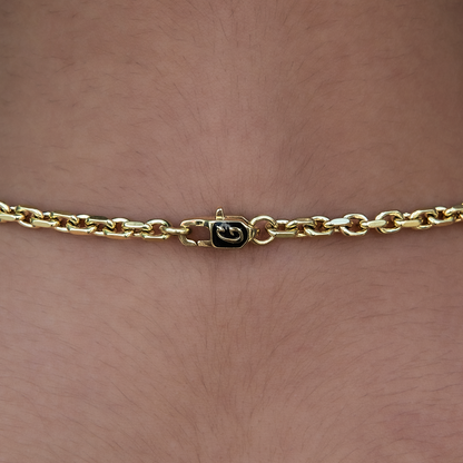 3.6mm Open Box Chain Necklace - Yellow Gold