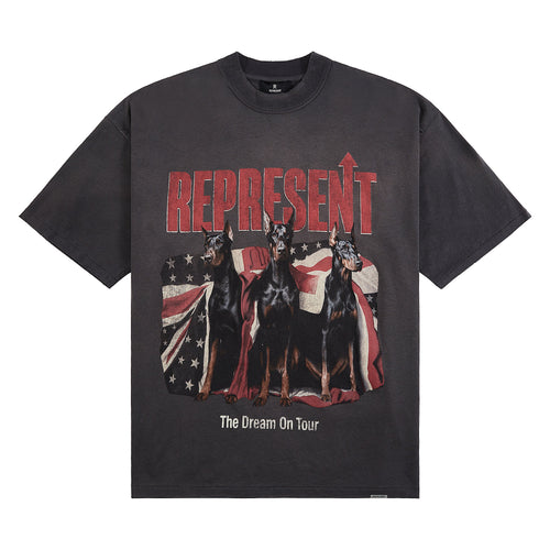 Dream On Tour Tee | Sun Fade Grey