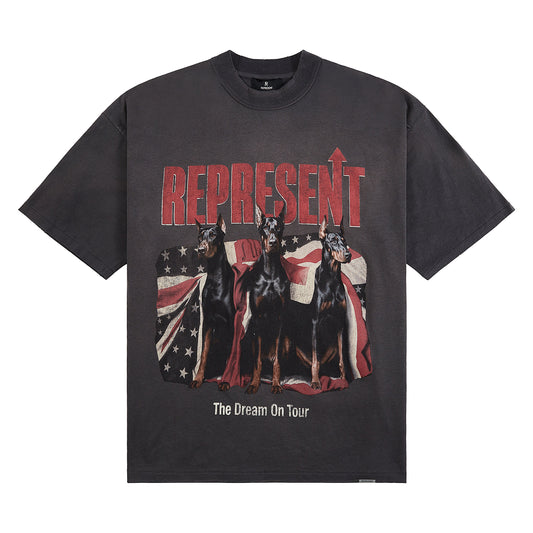 Dream On Tour Tee | Sun Fade Grey