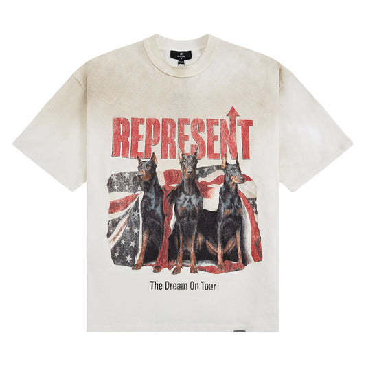 Dream On Tour Tee | Washed Ecru