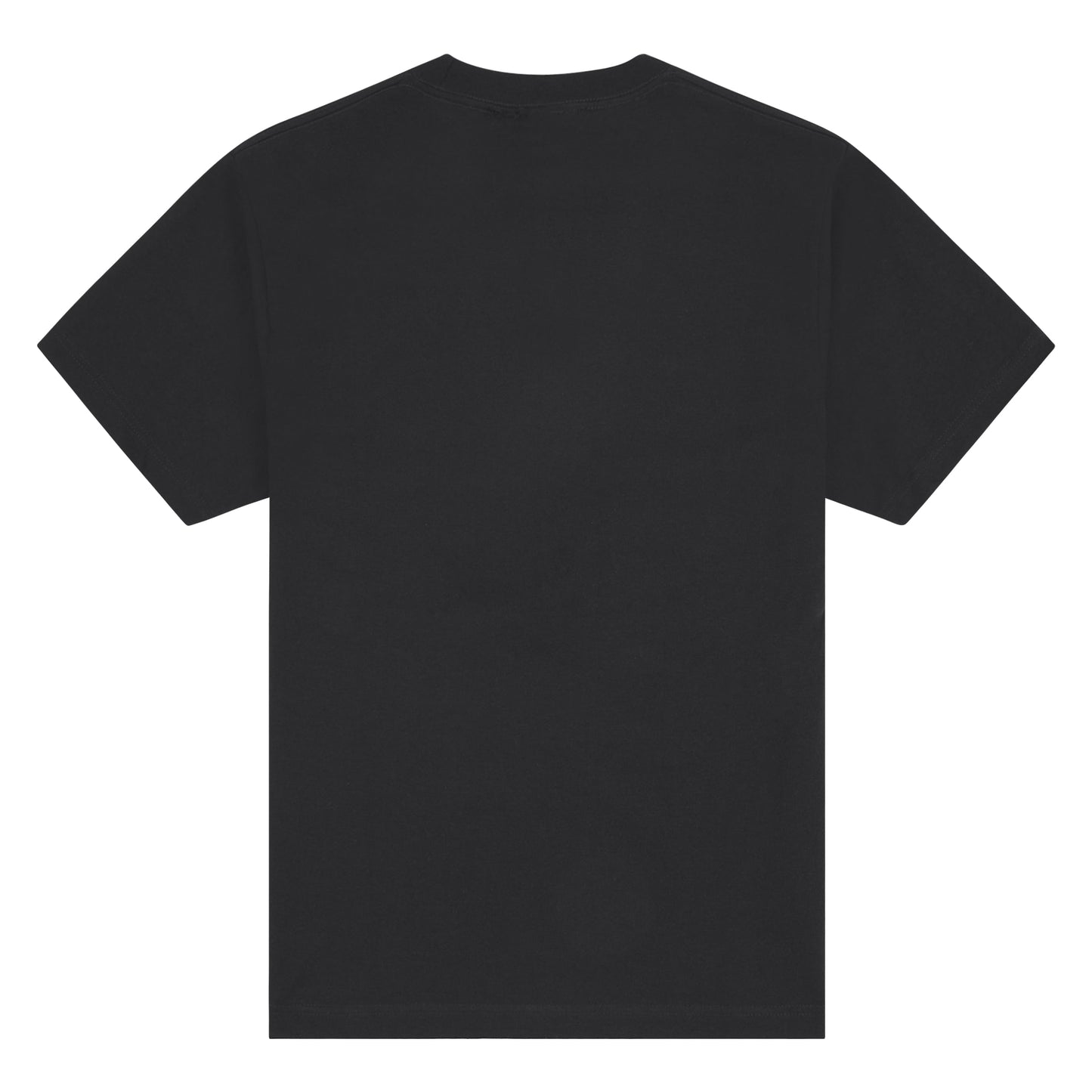 Fountain Of Soul Tee | Black