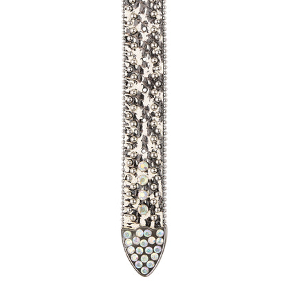 Jason Belt | Silver
