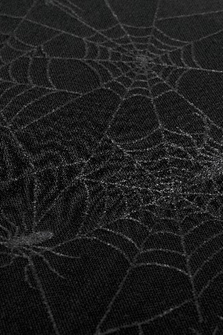 Black Long Sleeves Lace-Up Spiderweb Women's Gothic Elegant Witch Long Dress