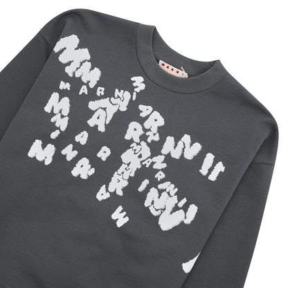 Chaos Logo Sweatshirt | Neutral Grey
