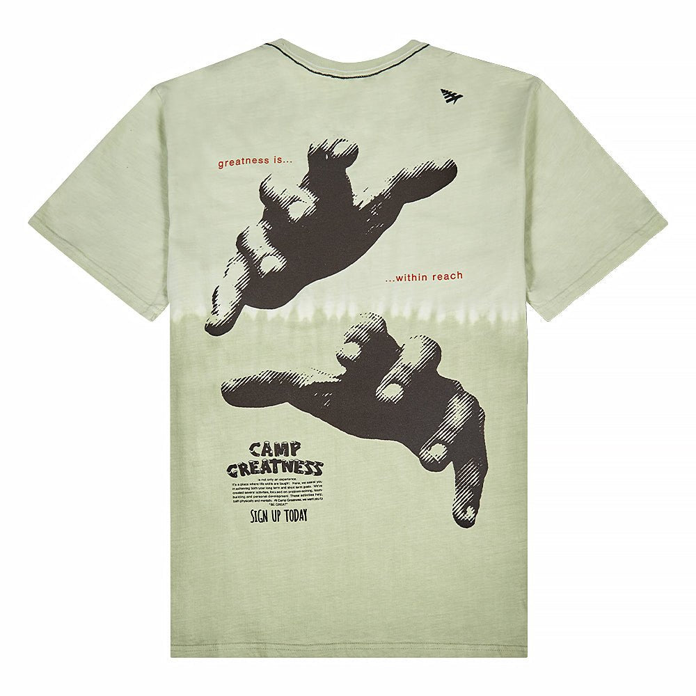 Greatness Within Reach Tee | Sage