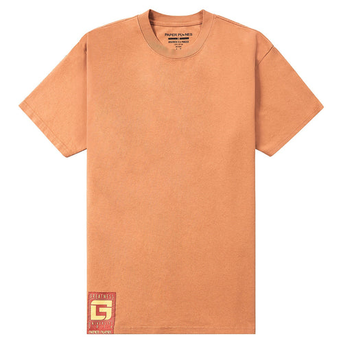 Intention Heavyweight Tee | Ginger